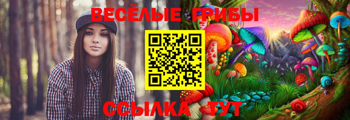 Галлюциногенные грибы GOLDEN TEACHER Калач-на-Дону