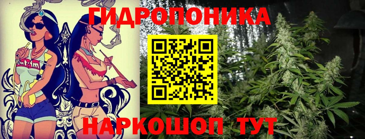 Бошки Шишки ГИДРОПОН Калач-на-Дону